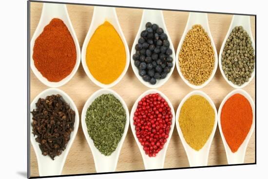 Colorful Spices-Fotokris-Mounted Art Print