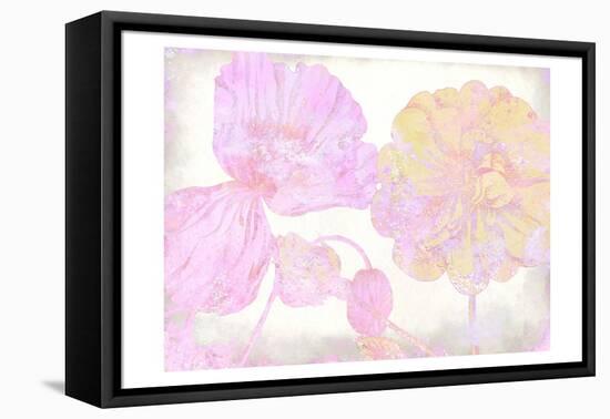 Colorful Spring 5-Kimberly Allen-Framed Stretched Canvas