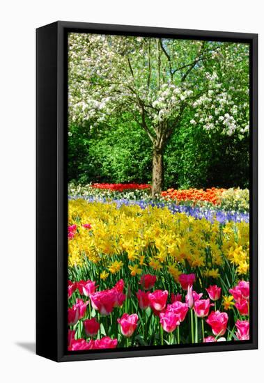 Colorful Springflowers and Blossom in Dutch Spring Garden 'Keukenhof' in Holland-dzain-Framed Premier Image Canvas