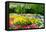 Colorful Springflowers and Blossom in Dutch Spring Garden 'Keukenhof' in Holland-dzain-Framed Premier Image Canvas