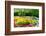 Colorful Springflowers and Blossom in Dutch Spring Garden 'Keukenhof' in Holland-dzain-Framed Photographic Print