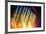 Colorful Stage Lights at Concert-Petr Jilek-Framed Photographic Print