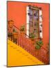 Colorful Stairs and House with Potted Plants, Guanajuato, Mexico-Julie Eggers-Mounted Photographic Print