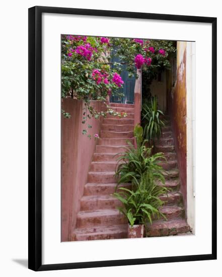 Colorful Stairways, Chania, Crete, Greece-Darrell Gulin-Framed Photographic Print