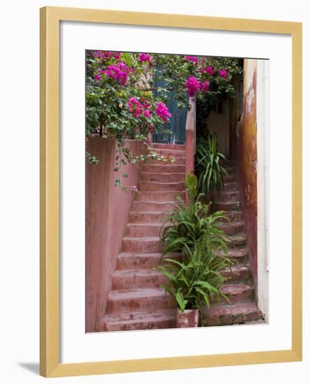 Colorful Stairways, Chania, Crete, Greece-Darrell Gulin-Framed Photographic Print