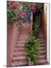 Colorful Stairways, Chania, Crete, Greece-Darrell Gulin-Mounted Photographic Print
