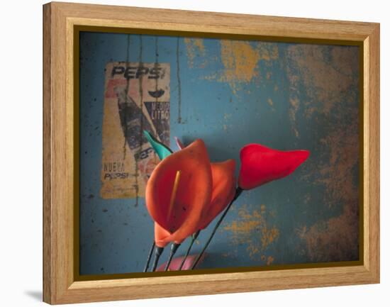 Colorful Still Life, Oaxaca, Mexico-Judith Haden-Framed Premier Image Canvas