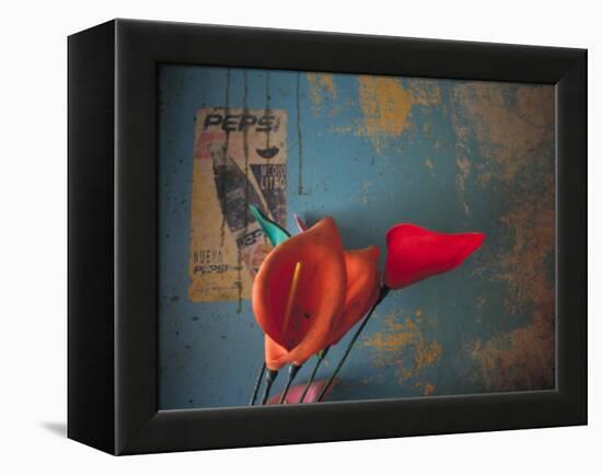 Colorful Still Life, Oaxaca, Mexico-Judith Haden-Framed Premier Image Canvas