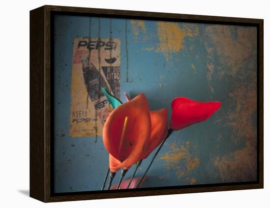 Colorful Still Life, Oaxaca, Mexico-Judith Haden-Framed Premier Image Canvas