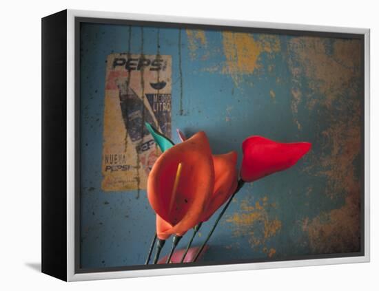 Colorful Still Life, Oaxaca, Mexico-Judith Haden-Framed Premier Image Canvas