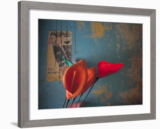 Colorful Still Life, Oaxaca, Mexico-Judith Haden-Framed Photographic Print