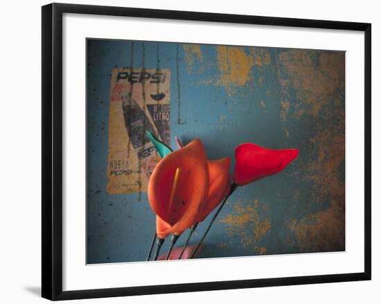 Colorful Still Life, Oaxaca, Mexico-Judith Haden-Framed Photographic Print