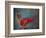 Colorful Still Life, Oaxaca, Mexico-Judith Haden-Framed Photographic Print