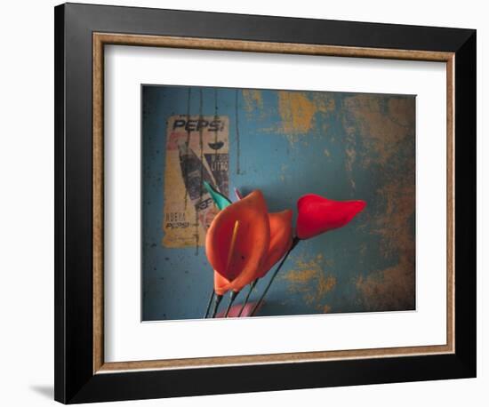 Colorful Still Life, Oaxaca, Mexico-Judith Haden-Framed Photographic Print