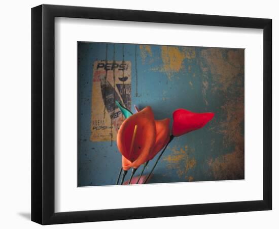 Colorful Still Life, Oaxaca, Mexico-Judith Haden-Framed Photographic Print