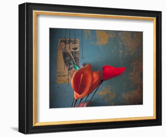 Colorful Still Life, Oaxaca, Mexico-Judith Haden-Framed Photographic Print