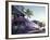 Colorful Street Life, South Beach, Miami, Florida, USA-Stuart Westmoreland-Framed Photographic Print