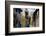 Colorful Street, Old San Juan, Puerto Rico-George Oze-Framed Photographic Print