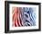 Colorful Stripes I-Megan Aroon Duncanson-Framed Giclee Print