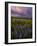 Colorful Sunrise over the Wildflowers of the Columbia River Gorge in Washington-Miles Morgan-Framed Photographic Print