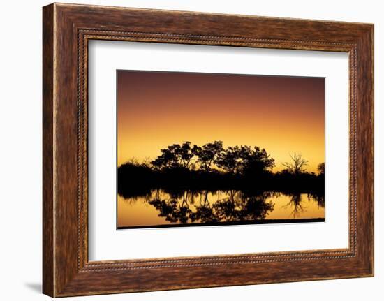 Colorful sunset at watering hole. Camelthorn Lodge. Hwange National Park. Zimbabwe.-Tom Norring-Framed Photographic Print