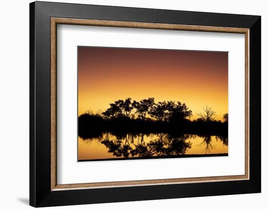 Colorful sunset at watering hole. Camelthorn Lodge. Hwange National Park. Zimbabwe.-Tom Norring-Framed Photographic Print