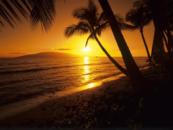 Colorful Sunset In A Tropical Paradise Maui Hawaii Usa Photographic Print Jerry Ginsberg Art Com Colorful Sunset In A Tropical Paradise Maui Hawaii Usa Photographic Print Jerry Ginsberg Art Com