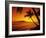 Colorful Sunset in a Tropical Paradise, Maui Hawaii, USA-Jerry Ginsberg-Framed Photographic Print