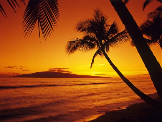 Colorful Sunset In A Tropical Paradise Maui Hawaii Usa Photographic Print Jerry Ginsberg Art Com Colorful Sunset In A Tropical Paradise Maui Hawaii Usa Photographic Print Jerry Ginsberg Art Com
