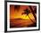 Colorful Sunset in a Tropical Paradise, Maui Hawaii, USA-Jerry Ginsberg-Framed Photographic Print