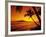 Colorful Sunset in a Tropical Paradise, Maui Hawaii, USA-Jerry Ginsberg-Framed Photographic Print