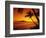 Colorful Sunset in a Tropical Paradise, Maui Hawaii, USA-Jerry Ginsberg-Framed Photographic Print