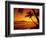 Colorful Sunset in a Tropical Paradise, Maui Hawaii, USA-Jerry Ginsberg-Framed Photographic Print