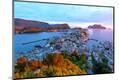 Premium Photographic Print
