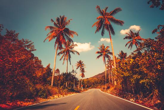 Colorful Sunset Landscape With Empty Road And Palm Trees In Jungle Against Clear Blue Sky Vintage Photographic Print By Goinyk Art Com