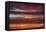 Colorful sunset, New Smyrna Beach, Florida, USA-Lisa Engelbrecht-Framed Premier Image Canvas