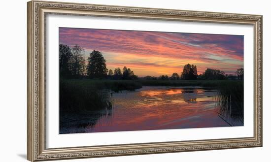 Colorful Sunset over a Small Lake on a Summer Day-Yurii Shelest-Framed Photographic Print