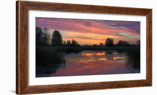 Colorful Sunset over a Small Lake on a Summer Day-Yurii Shelest-Framed Photographic Print