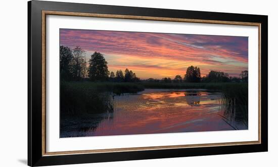 Colorful Sunset over a Small Lake on a Summer Day-Yurii Shelest-Framed Photographic Print