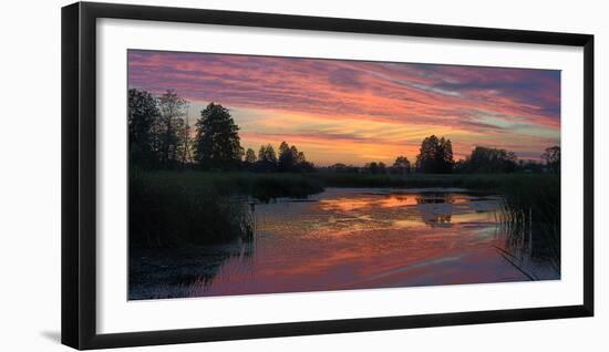 Colorful Sunset over a Small Lake on a Summer Day-Yurii Shelest-Framed Photographic Print