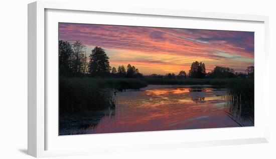 Colorful Sunset over a Small Lake on a Summer Day-Yurii Shelest-Framed Photographic Print