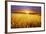 Colorful Sunset over Wheat Field.-Elenamiv-Framed Photographic Print