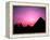 Colorful Sunset Silhouetting Men and Camels at the Great Pyramids of Giza, Egypt-Bill Bachmann-Framed Premier Image Canvas