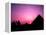 Colorful Sunset Silhouetting Men and Camels at the Great Pyramids of Giza, Egypt-Bill Bachmann-Framed Premier Image Canvas