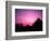 Colorful Sunset Silhouetting Men and Camels at the Great Pyramids of Giza, Egypt-Bill Bachmann-Framed Photographic Print