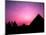 Colorful Sunset Silhouetting Men and Camels at the Great Pyramids of Giza, Egypt-Bill Bachmann-Mounted Photographic Print