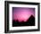 Colorful Sunset Silhouetting Men and Camels at the Great Pyramids of Giza, Egypt-Bill Bachmann-Framed Photographic Print