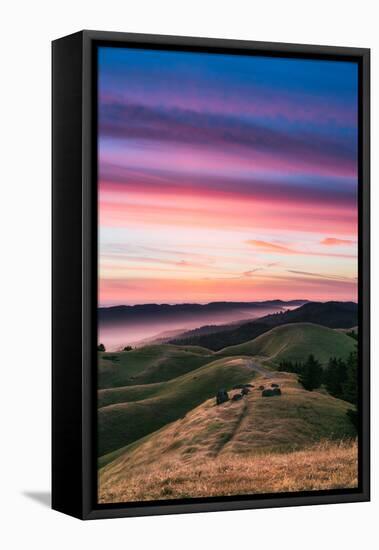 Colorful sunset with pink clouds on Mt. Tam in San Francisco with rolling, golden hills-David Chang-Framed Premier Image Canvas