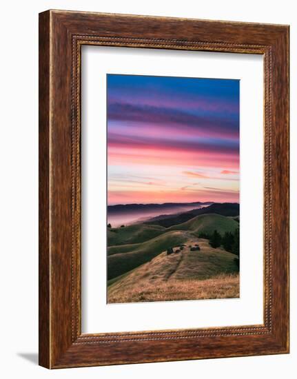 Colorful sunset with pink clouds on Mt. Tam in San Francisco with rolling, golden hills-David Chang-Framed Photographic Print