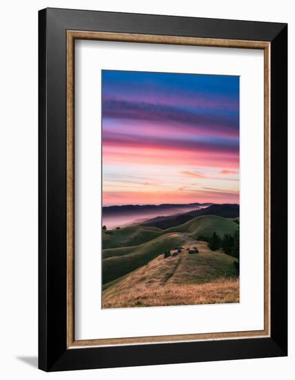 Colorful sunset with pink clouds on Mt. Tam in San Francisco with rolling, golden hills-David Chang-Framed Photographic Print